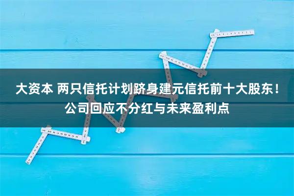 大资本 两只信托计划跻身建元信托前十大股东！公司回应不分红与未来盈利点