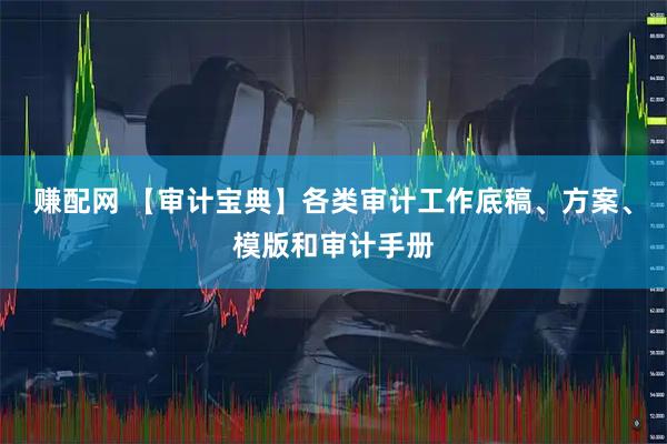 赚配网 【审计宝典】各类审计工作底稿、方案、模版和审计手册
