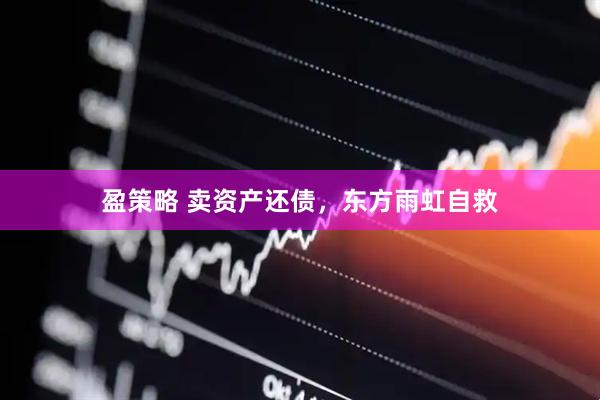 盈策略 卖资产还债，东方雨虹自救