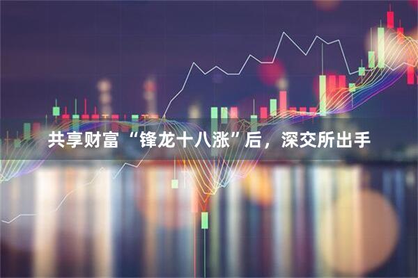 共享财富 “锋龙十八涨”后，深交所出手