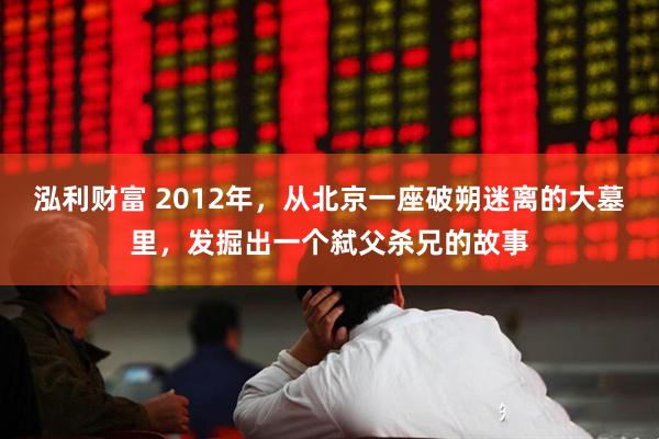 泓利财富 2012年，从北京一座破朔迷离的大墓里，发掘出一个弑父杀兄的故事